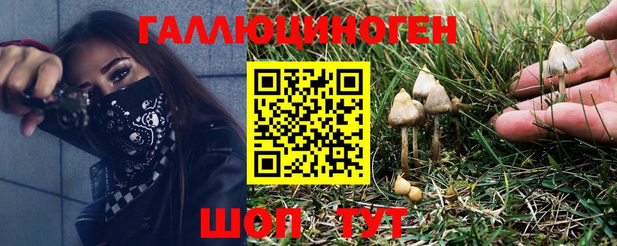 Ишим  Псилоцибиновые грибы Magic Shrooms  Вход с VPN 