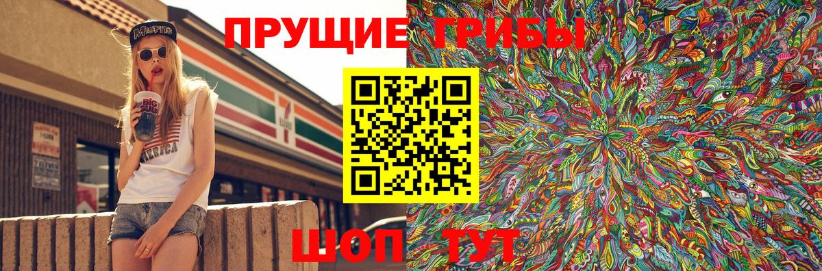 Галлюциногенные грибы Psilocybine cubensis Ишим